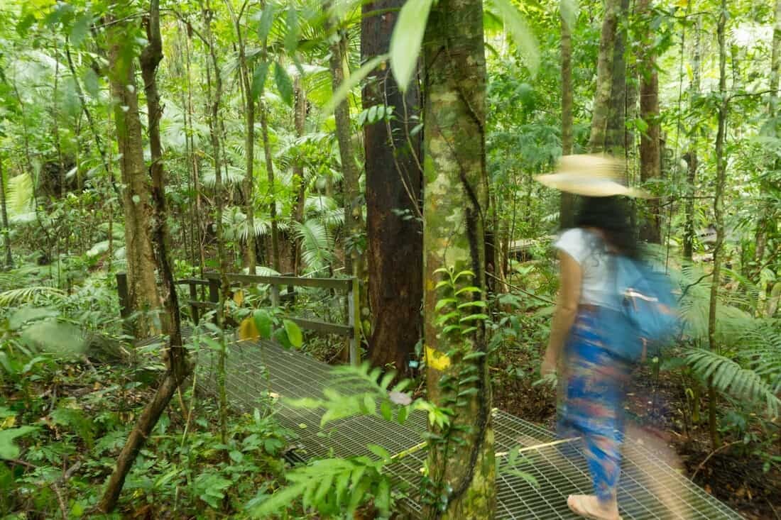 Daintree Rainforest, Tropical North Queensland Photography Locations