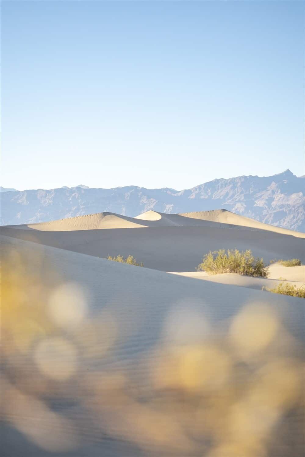 Mesquite Flat Sand Dunes - Death Valley National Park
